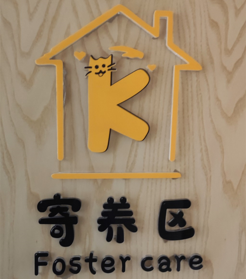 ��������ݱ�ʶ������